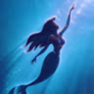 Meet your Posher, Josephine